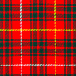 Bruce Modern Tartan