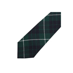 Boy's Tartan Tie - Hamilton Hunting Modern