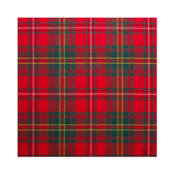 Boy's Tartan Tie - Hay Modern