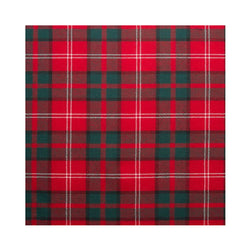 Boy's Tartan Tie - Nisbet Modern
