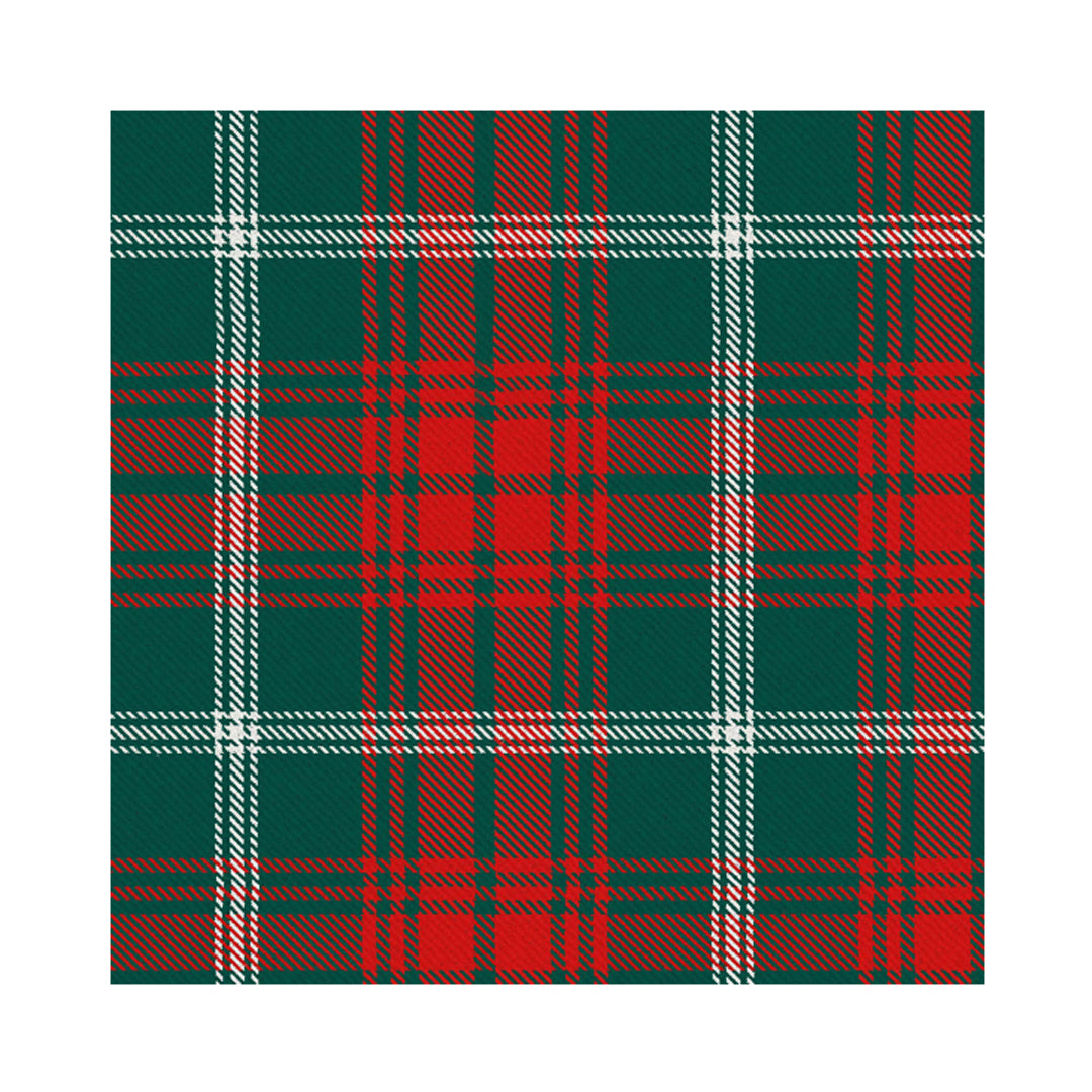 Boy's Tartan Tie - Rothesay Duke of Hunting Modern
