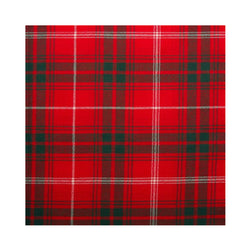 Boy's Tartan Tie - Rothesay Duke of Modern