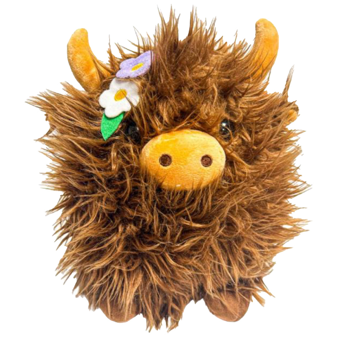 Brown Highland Daisy Cow