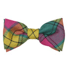 Men's Tartan Bow Tie - MacMillan Old Ancient