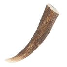 Staghorn Kilt Pin