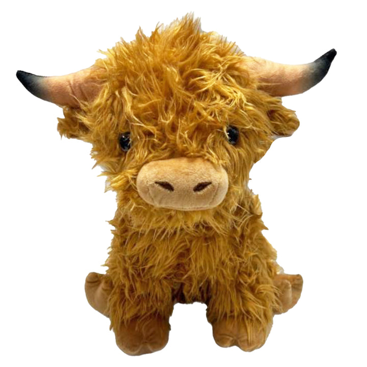 TanLargeSittingHighlandCoo