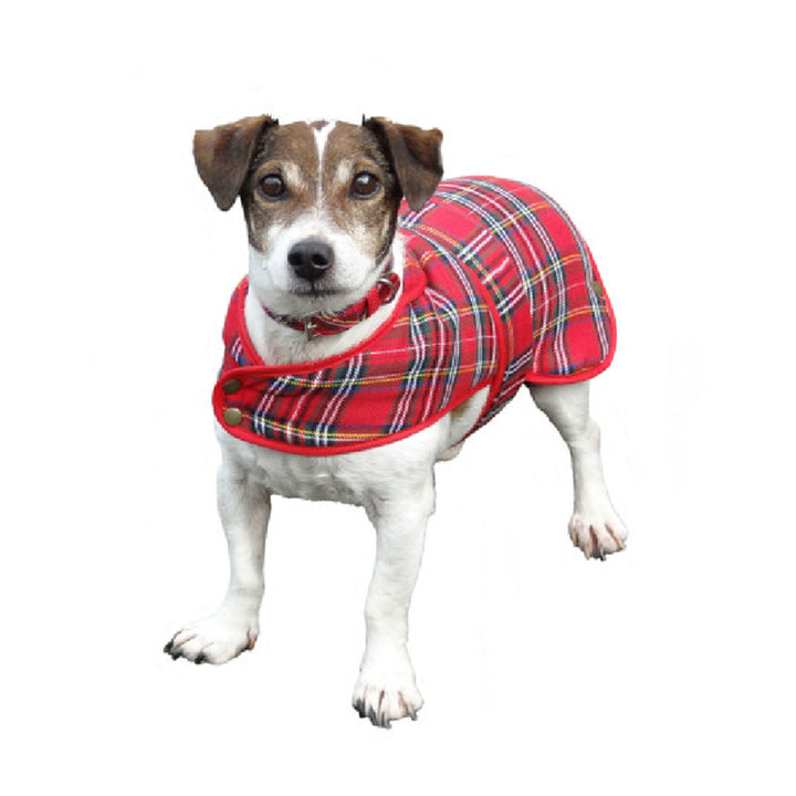 Tartan Dog Coat - Royal Stewart