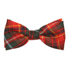 Men's Tartan Bow Tie - Innes Modern