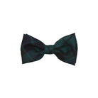 Boy's Tartan Bow Tie - MacKay Modern
