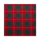 Tartan County Cap - MacPhie Modern