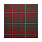 Tartan Pocket Square - Seton Hunting Modern