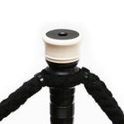 Traditional Smallpipes Ring Cap